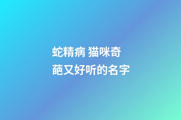 蛇精病 猫咪奇葩又好听的名字